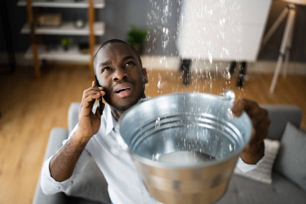 Best Flood restoration services  in Pleasant Hill, MS