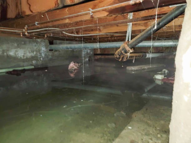 Best Commercial water damage restoration  in Pleasant Hill, MS
