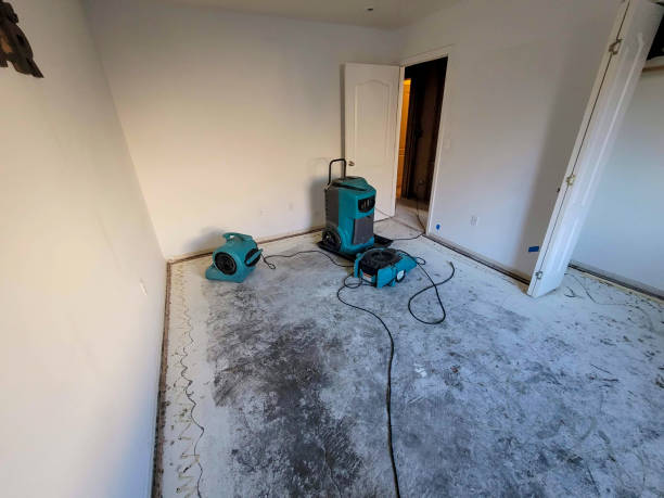 Best Emergency water damage restoration  in Pleasant Hill, MS
