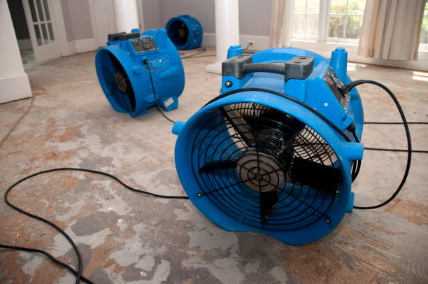 Best Carpet water damage restoration  in Pleasant Hill, MS