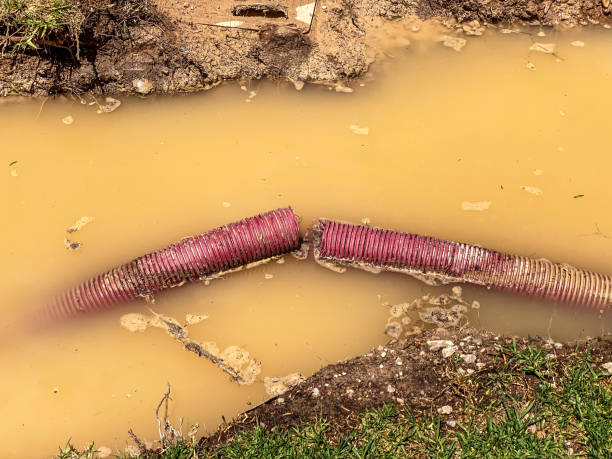 Best Water damage contractors near me  in Pleasant Hill, MS