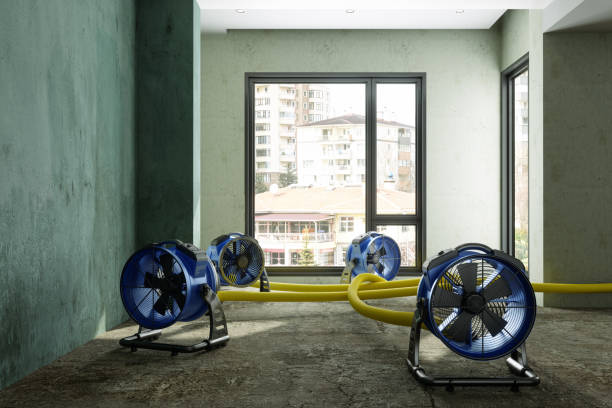 Best Local water damage restoration  in Pleasant Hill, MS